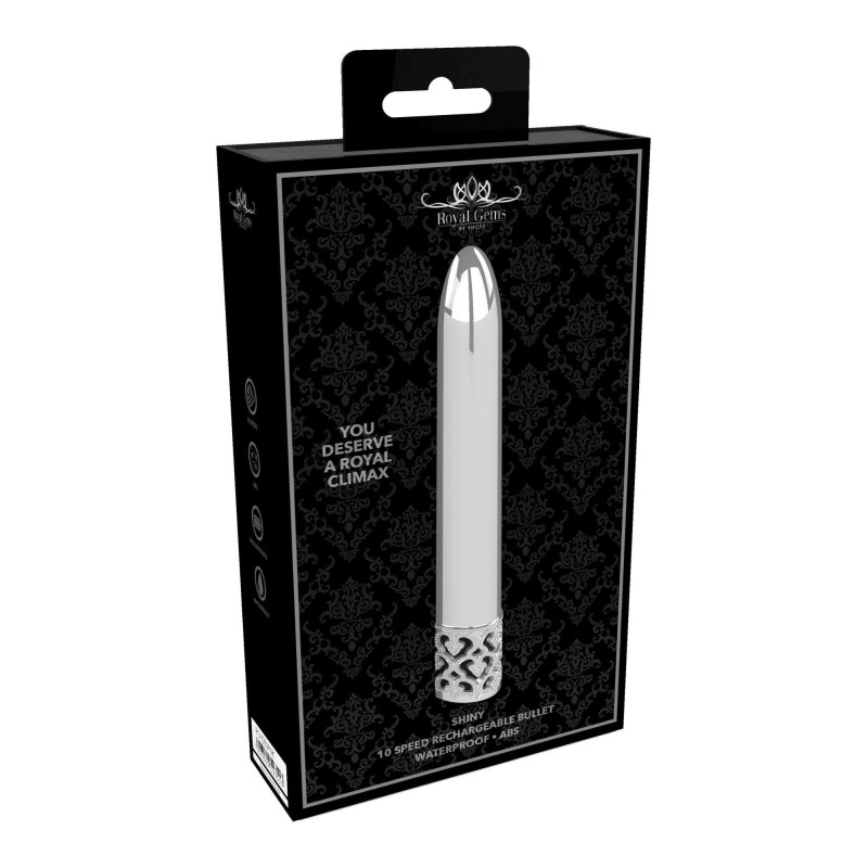 Shiny - Rechargeable ABS Bullet - Silver